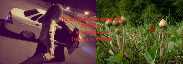 молекула духа Армянск