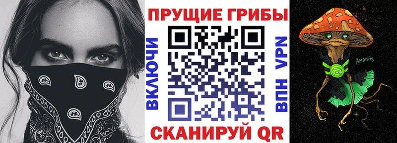 Псилоцибиновые грибы мицелий  Сольцы 